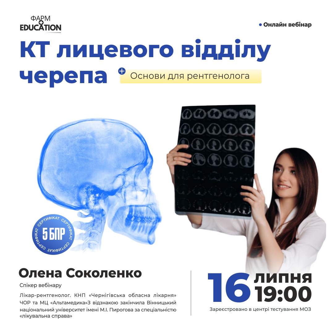 соко1.png